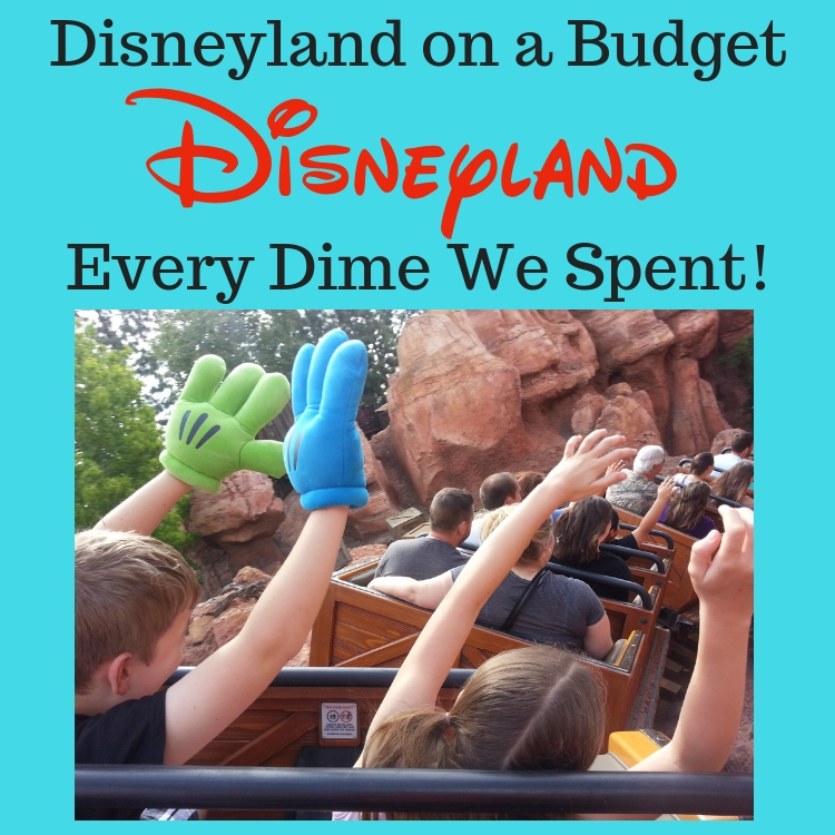 How Much Does It Cost To Go To Disneyland? Every Dime We Spent #1 - All ...